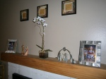 Our mantel